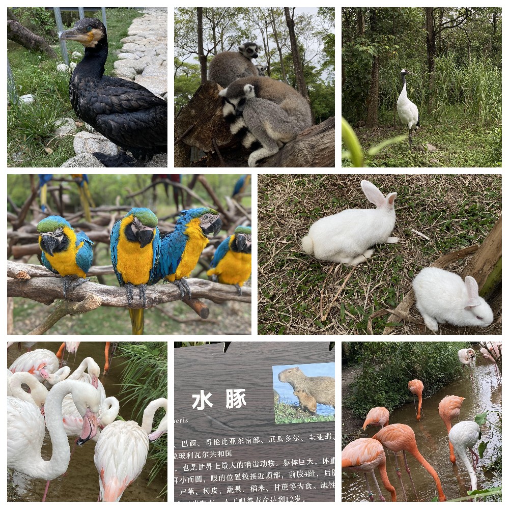 厚積薄發(fā)，蓄力前行：大手牽小手，共圓實(shí)佳夢(mèng)